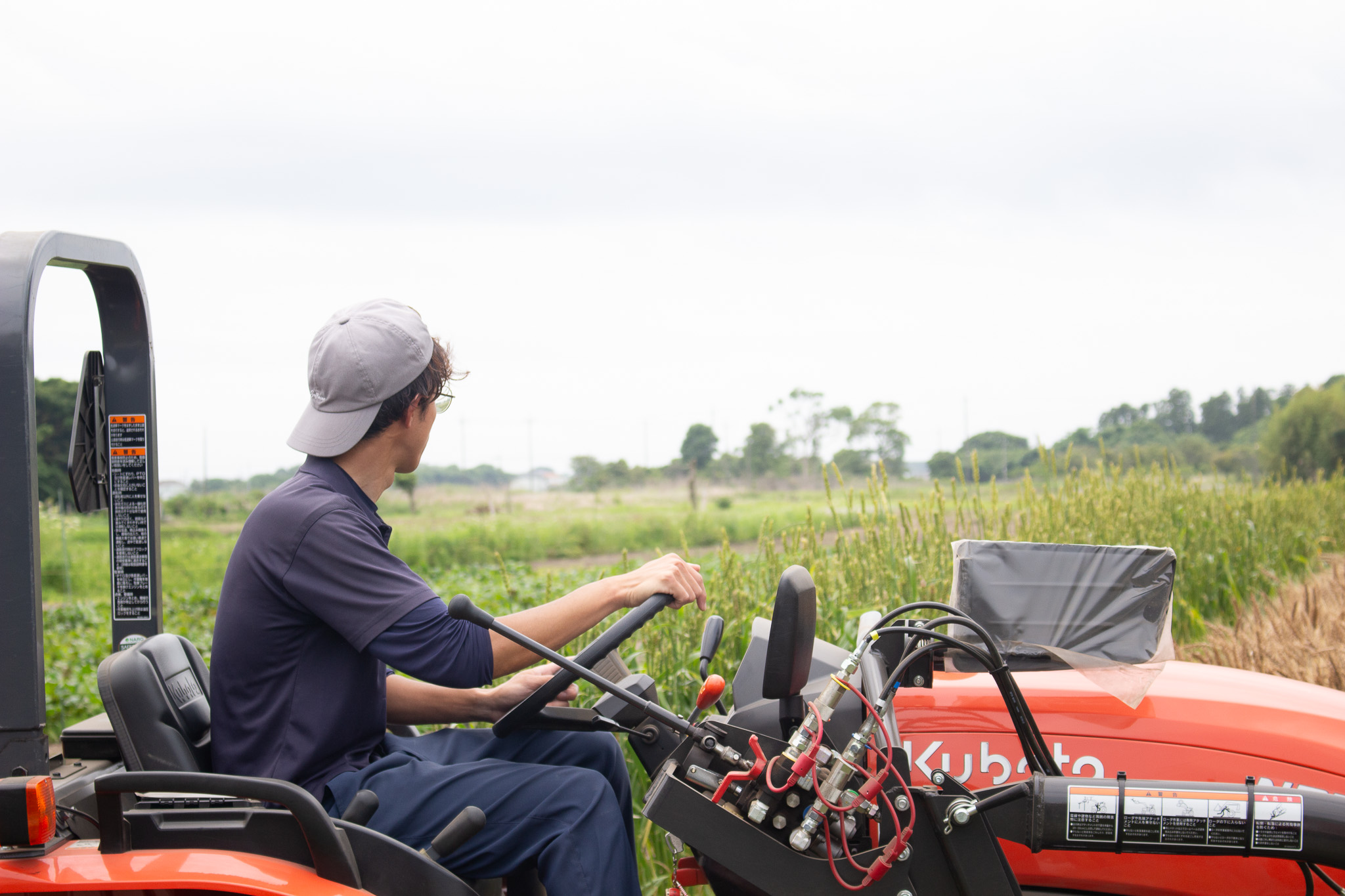 畑からテーブルへ