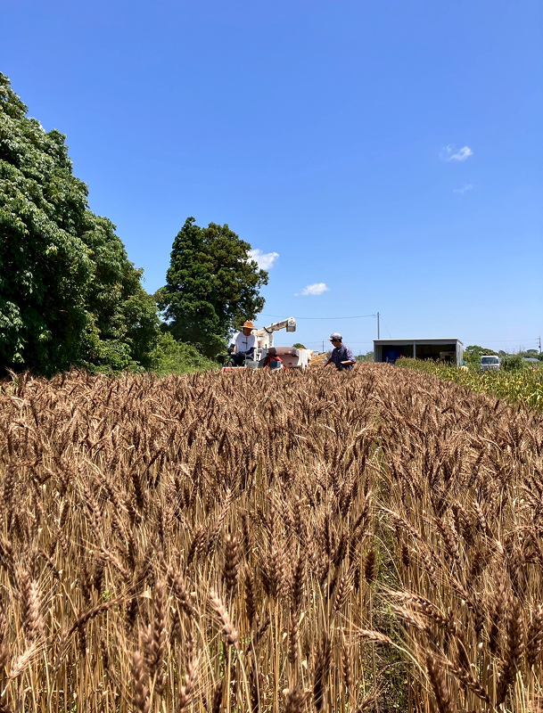 未来369ファーマーズ 様